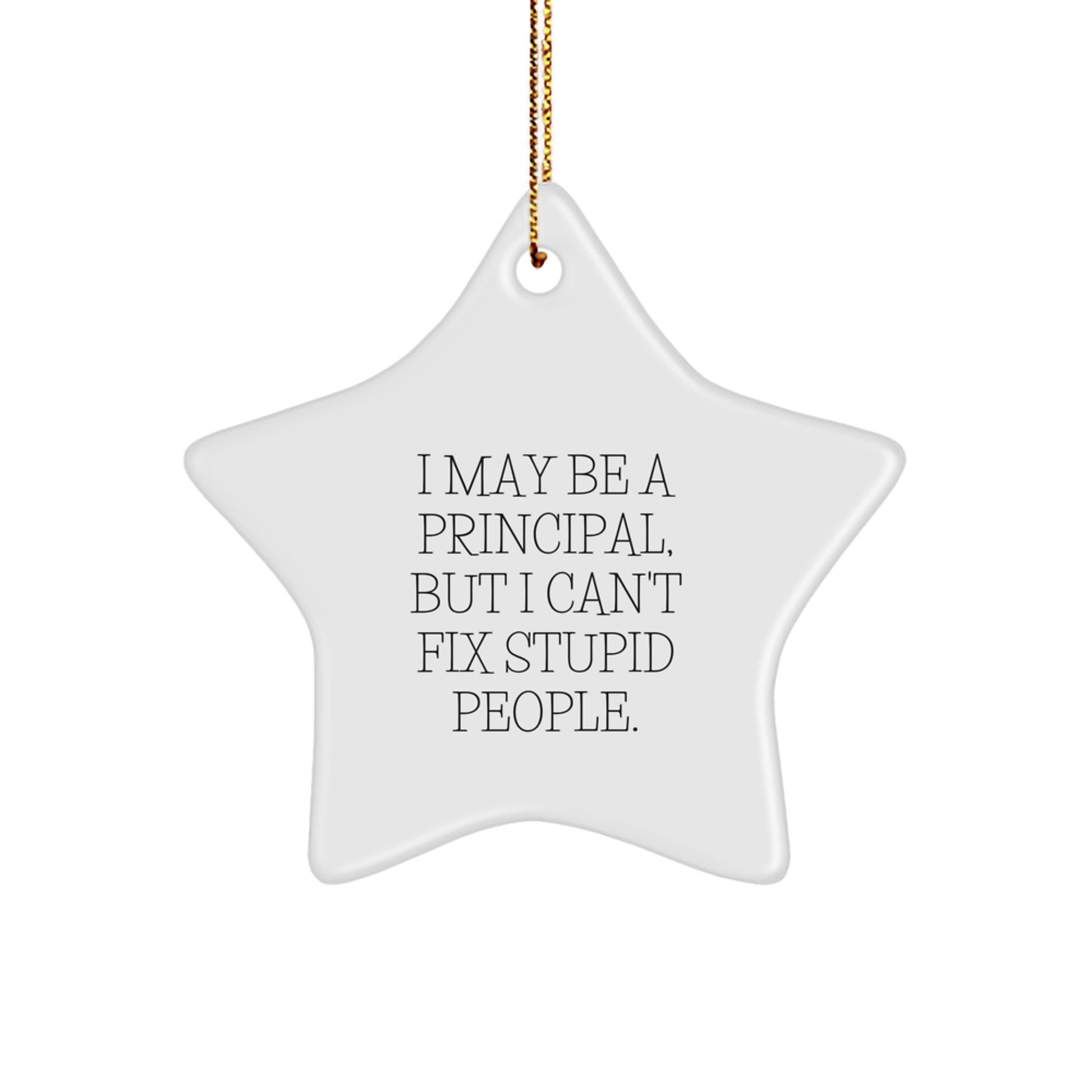 Funny Principal Gifts: I May Be A Principal, But I Can't Fix Stupid People. Star Ornament, White Color, Christmas Unique Gifts for Men, Women, Coworkers, Family - Image 1