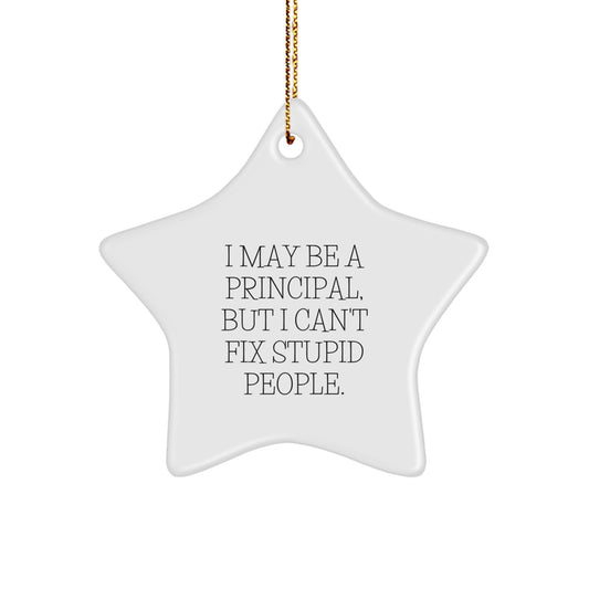 Funny Principal Gifts: I May Be A Principal, But I Can't Fix Stupid People. Star Ornament, White Color, Christmas Unique Gifts for Men, Women, Coworkers, Family - Image 1