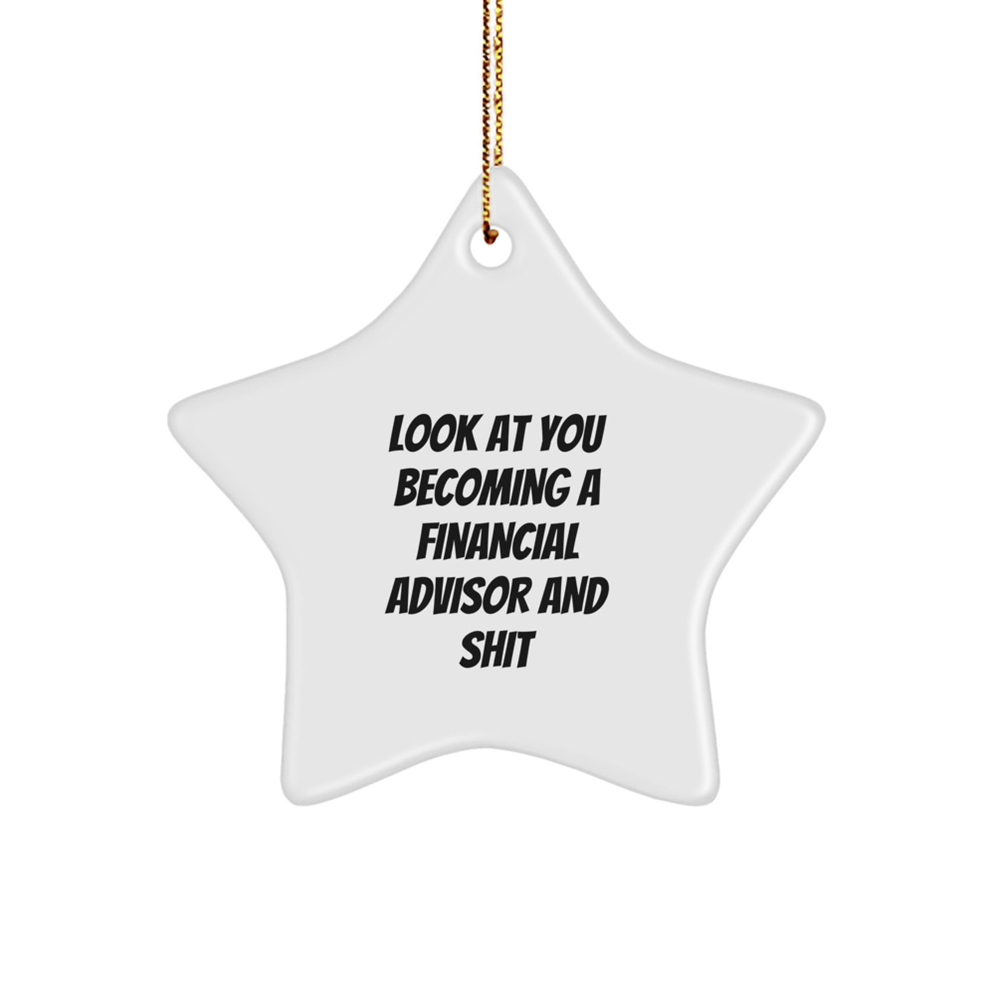 Financial Advisor Gifts for Men or Women - Funny Star Ornament with 'Look At You Becoming A Financial Advisor And Shit' Quote, Christmas Unique Gifts from Friends, Family, or Coworkers - Image 1