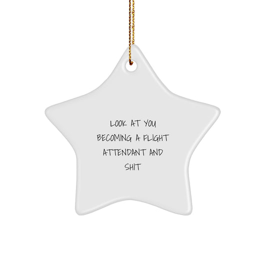Funny Flight Attendant Gifts, Look at You Becoming One and Shit, Star Ornament for Christmas, Gifts from Friends, Family, Coworkers, Perfect for Flight Attendants, Men, Women, and More - Image 1