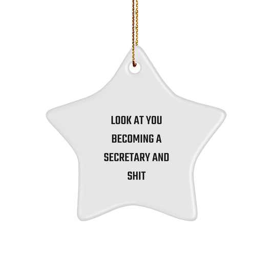 Funny Secretary Christmas Star Ornament Gifts from Friends for Secretary, Inspirational Quotes Star Decoration, White Star Shaped MDF Material - Image 1