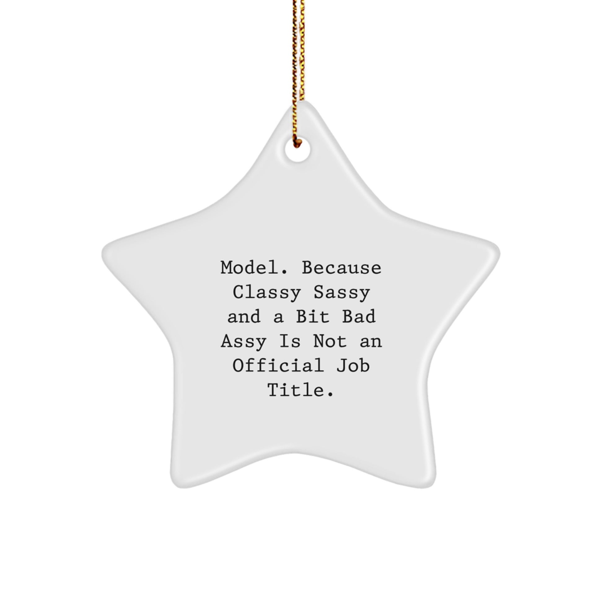Model Gifts Star Ornament Funny Quote Christmas Unique Gifts from Friends for Model - Image 1