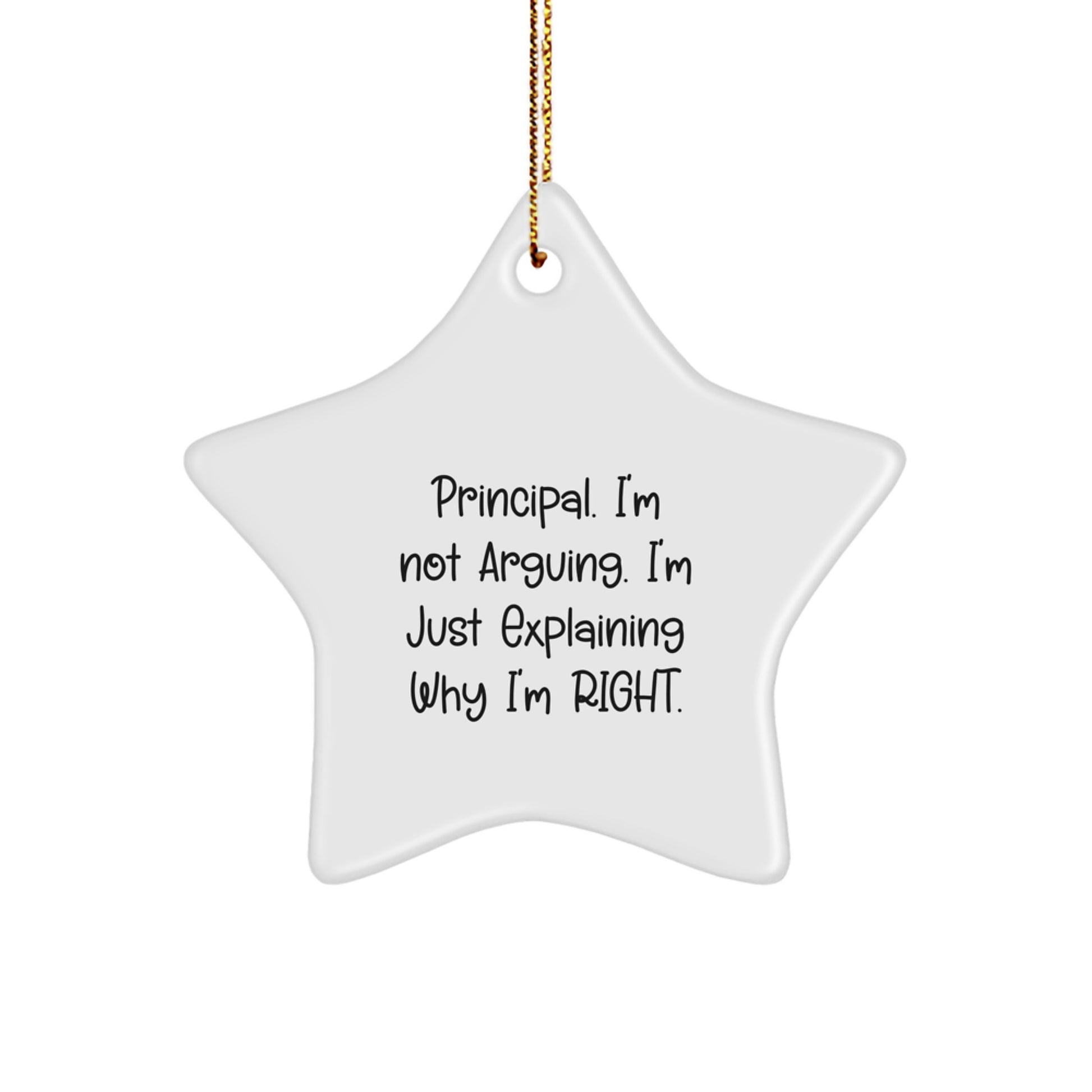 Funny Principal Gifts from Friends - 'I'm Not Arguing, I'm Just Explaining' Star Ornament, Gifts for Principal, Men, or Women, Christmas Unique - Image 1