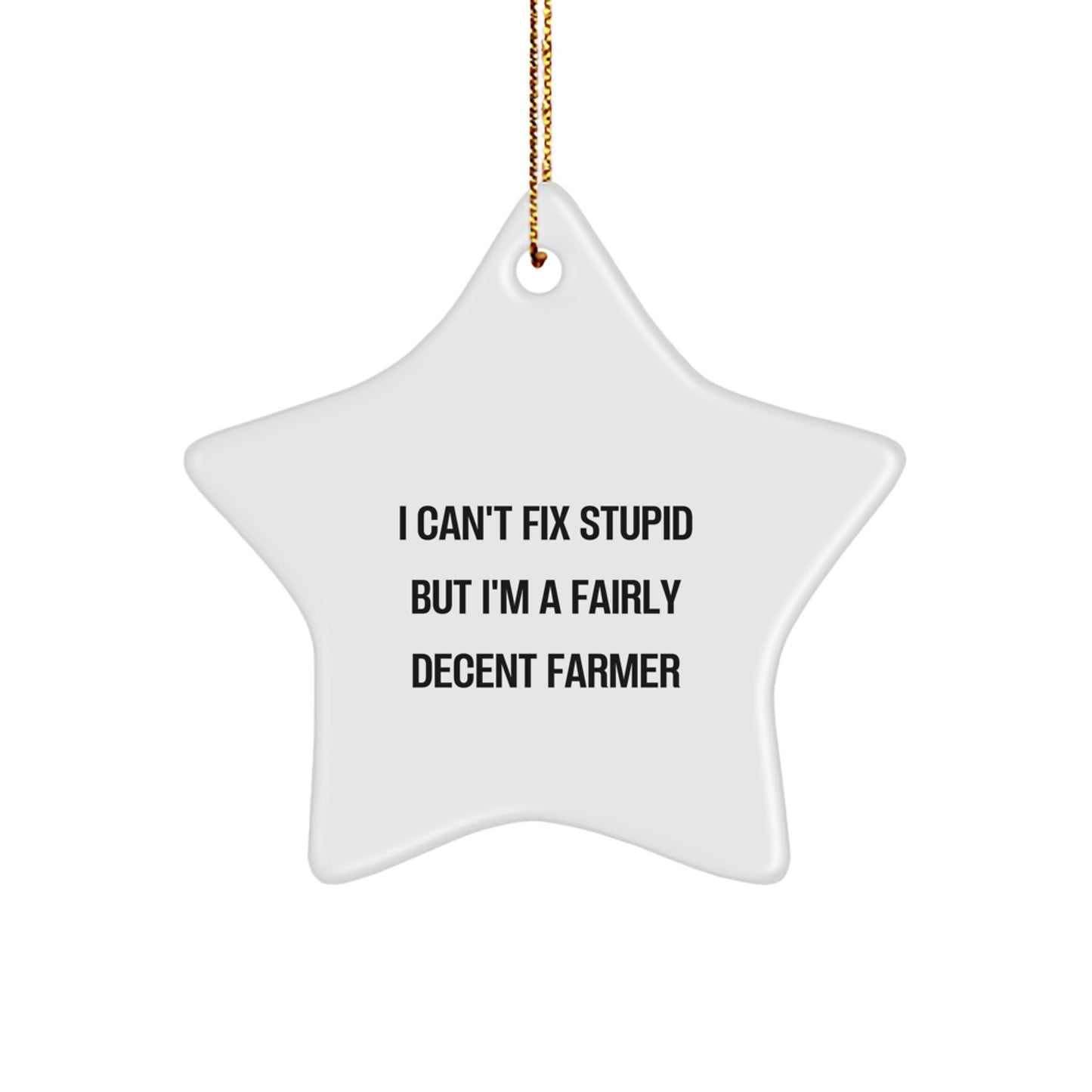 Funny Farmer Gifts - I Can't Fix Stupid But I'm A Fairly Decent Farmer Christmas Star Ornament for Friends Family Coworkers - Image 1