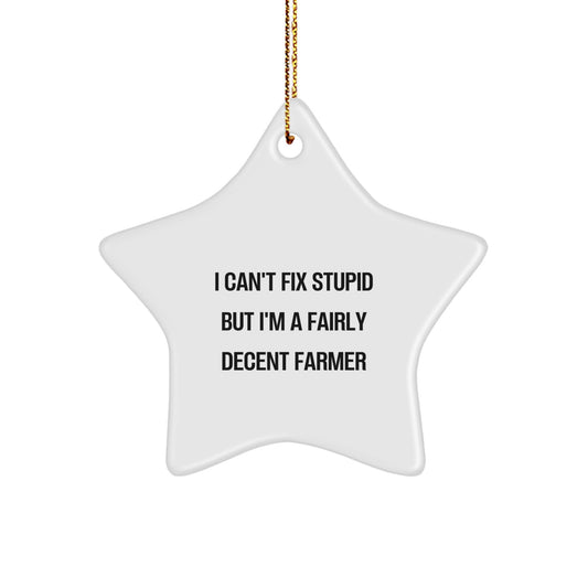 Funny Farmer Gifts - I Can't Fix Stupid But I'm A Fairly Decent Farmer Christmas Star Ornament for Friends Family Coworkers - Image 1