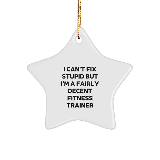 Funny Fitness Trainer Gifts from Men to Friends for Christmas Star Ornament 'I Can't Fix Stupid But I'm A Fairly Decent Fitness Trainer' - Image 1