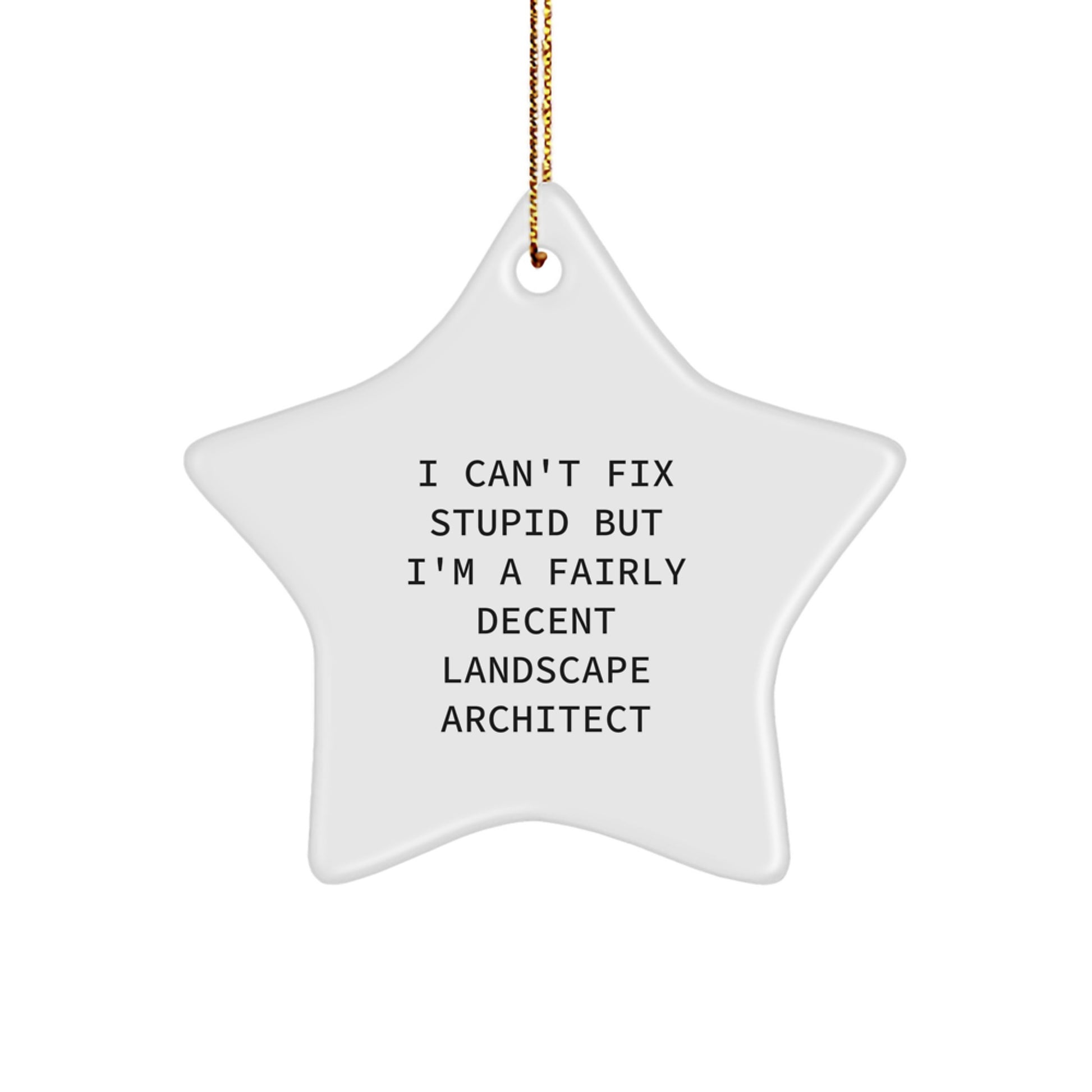 Funny Landscape Architect Gifts - I'm A Fairly Decent Star Ornament for Christmas - Gifts from Landscape Architect Enthusiasts - Gifts for Landscape Architects - Image 1