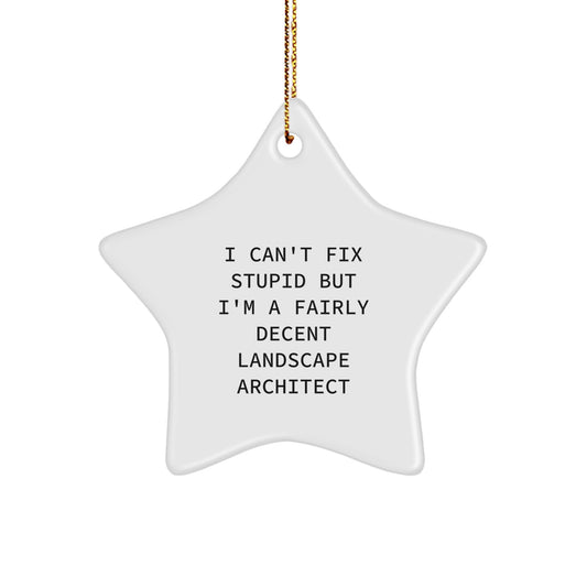 Funny Landscape Architect Gifts - I'm A Fairly Decent Star Ornament for Christmas - Gifts from Landscape Architect Enthusiasts - Gifts for Landscape Architects - Image 1