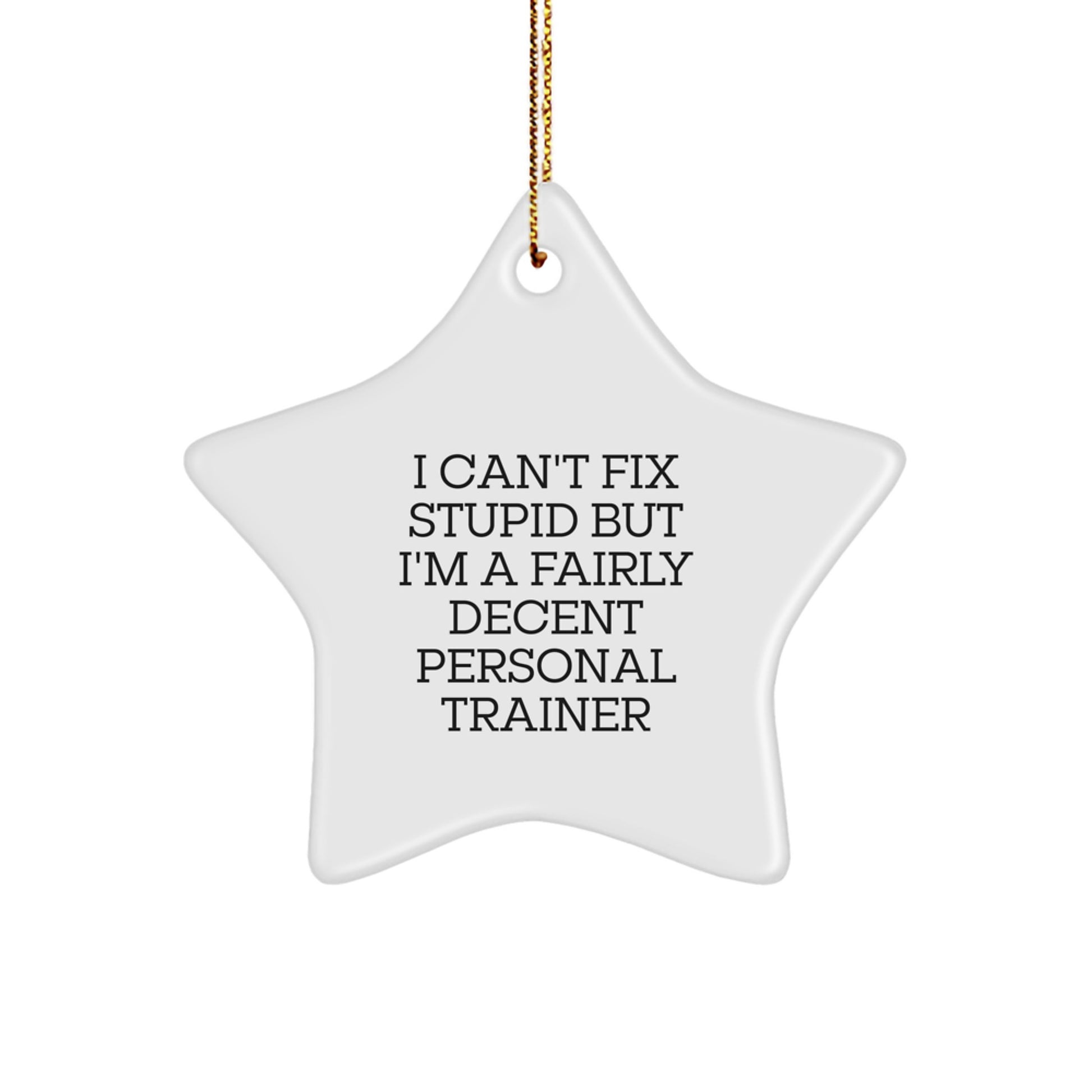 Funny Personal Trainer Gifts from Men to Coworkers, Star Ornament with 'I Can't Fix Stupid But I'm A Fairly Decent Personal Trainer', Christmas Unique Gifts - Image 1