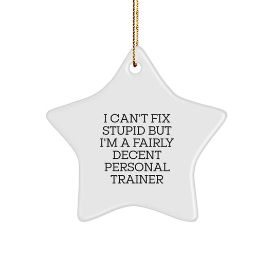 Funny Personal Trainer Gifts from Men to Coworkers, Star Ornament with 'I Can't Fix Stupid But I'm A Fairly Decent Personal Trainer', Christmas Unique Gifts - Image 1