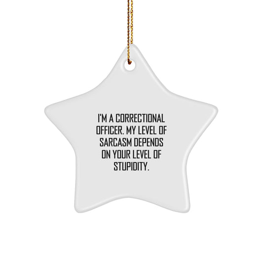 Correctional Officer Gifts: Funny Sarcasm Star Ornament for Christmas - Gifts from Men to Friends, Coworkers, Family - Image 1
