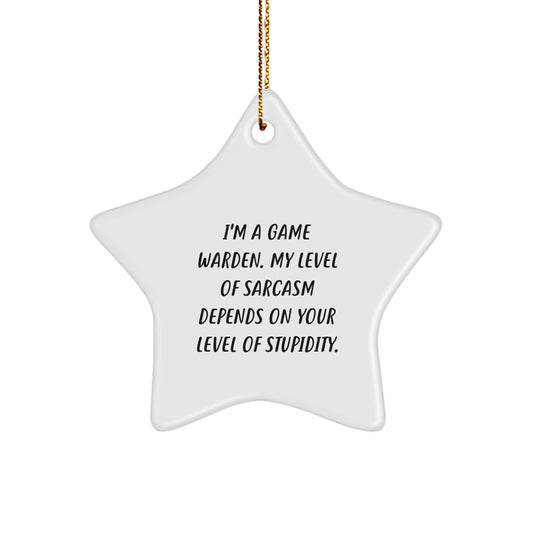 Funny Game Warden Star Ornament for Friends Gifts from Men - 'I'm a Game Warden, My Level of Sarcasm Depends on Your Level of Stupidity' - Christmas Unique Gifts - Image 1