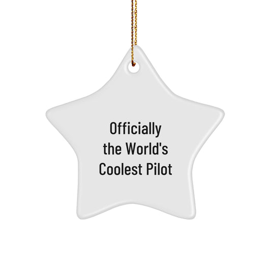 Pilot Gifts from Friends, Officially The World's Coolest Pilot Star Ornament, Christmas Unique Presents - Image 1