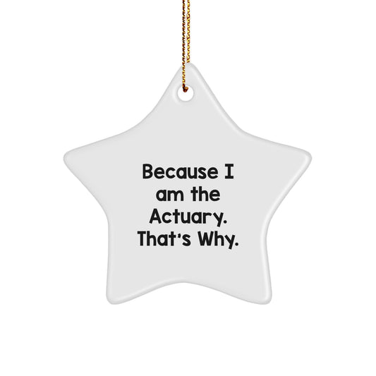 Actuary Gifts Because I Am The Actuary. That's Why. Star Ornament, Christmas Unique Gifts from Friends to Actuary - Image 1