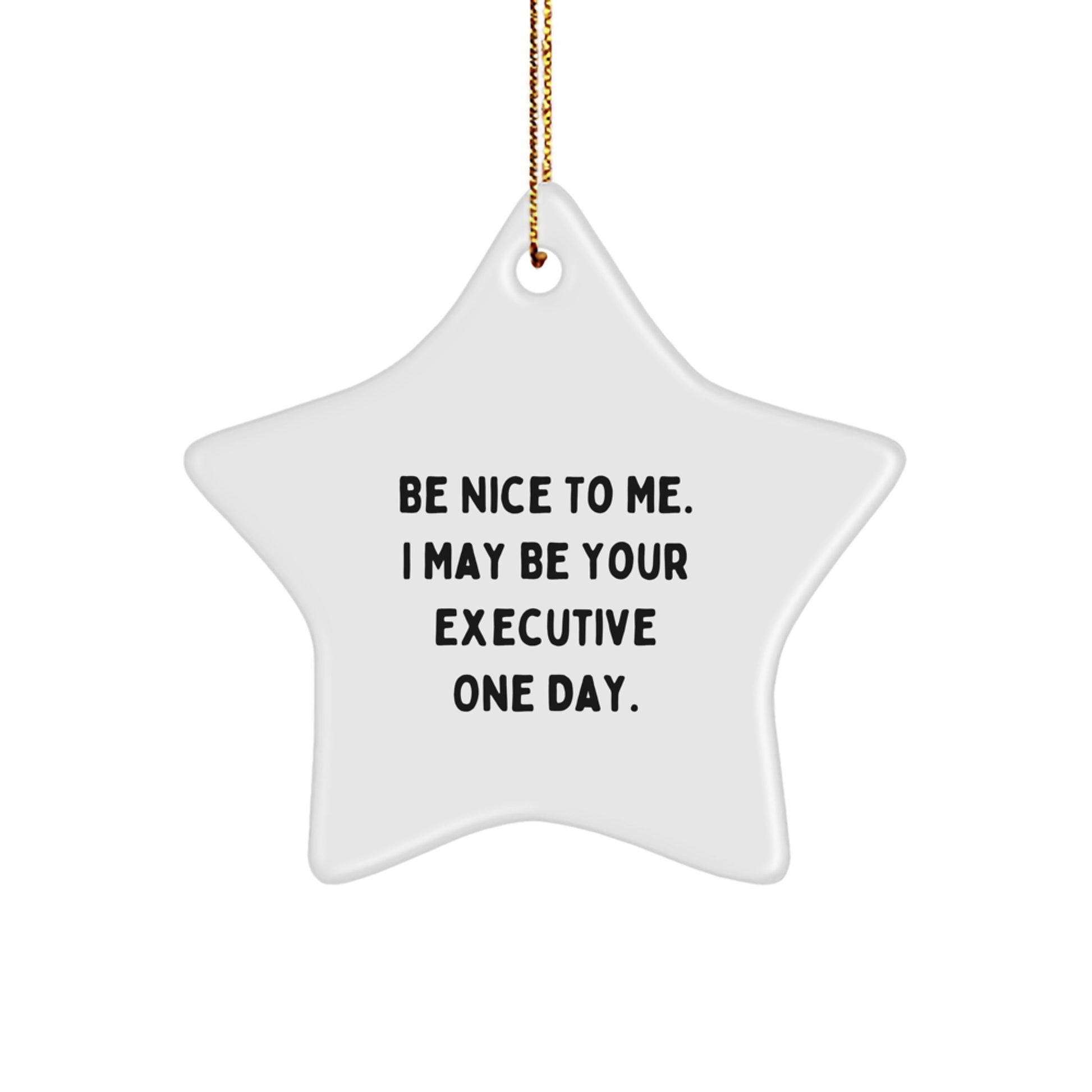 Funny Executive Star Ornament Gifts from Men to Executive Friends - 'Be Nice To Me. I May Be Your Executive One Day.' - Image 1