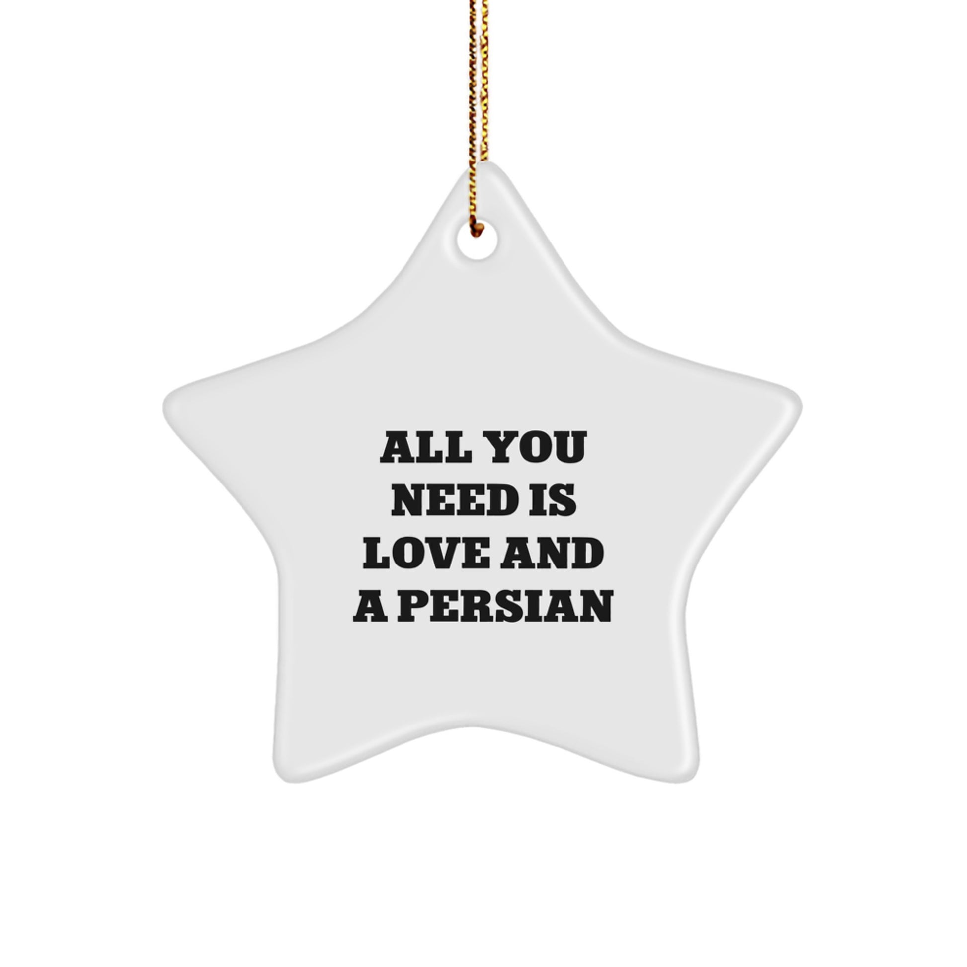 Funny Persian Cat Gifts for Christmas - 'All You Need Is Love And A Persian' Star Ornament from Friends to Family - Image 1
